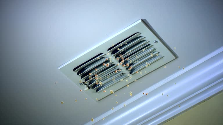 Trusted Waipahu, HI Airduct Cleaning Experts