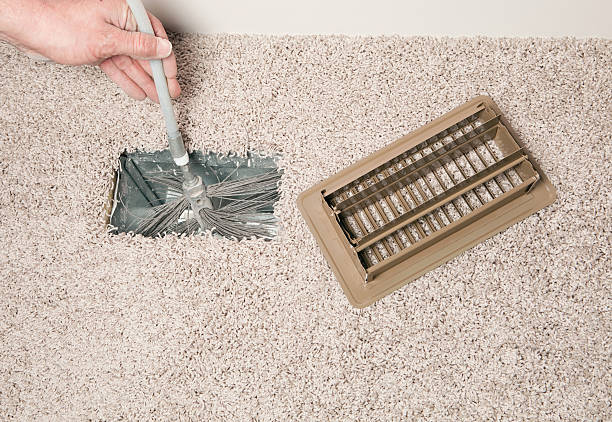 Best Air Duct Mold Removal  in Waipahu, HI