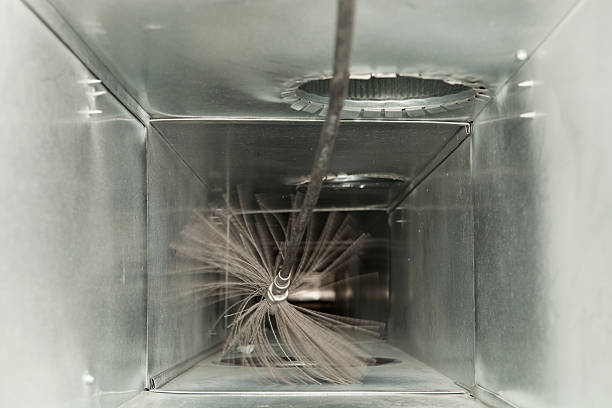Air Duct Mold Removal in Waipahu, HI